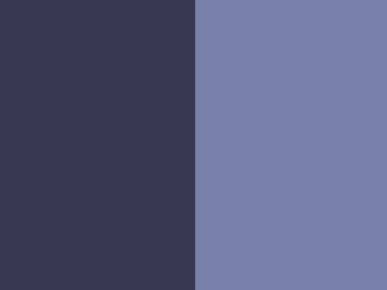 Hermcol® Violet RLP (pigmento viola 23) Immagine in primo piano