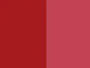 Hermcol® Red BRN (Pigment Red 144)