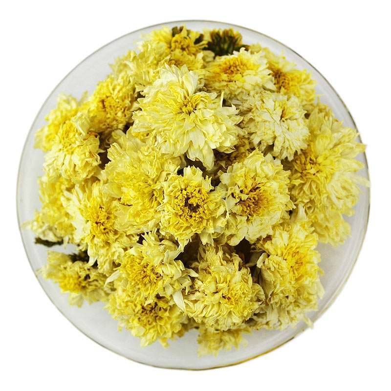 Florists Chrysanthemum