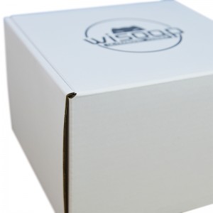 מפעל עיצוב OEM ניתן למחזור קרטון לבן אריזת קרטון גלי קופסת מתנה