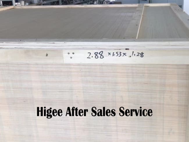 Serviciu post-vânzare Higee Machinery — Ce vom face pentru dvs. înainte de expediere?