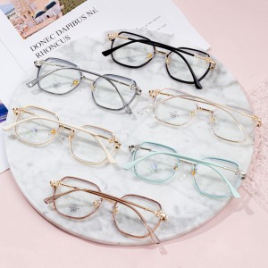 Optische Brillenfassungen Mode-Brillenfassungen