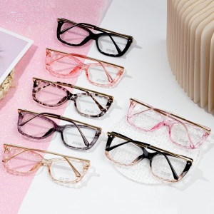 TR Oversized Glasses Läbipaistvad prillid naistele