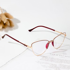 montures optiques en acier pour lunettes placage IP