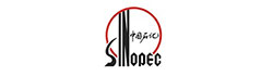 I-SINOPEC300X120