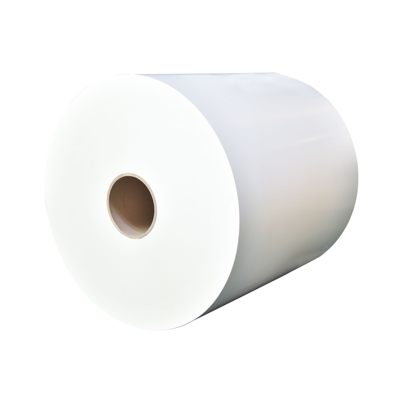 FBB C1S Ivory Board Paper Roll PE Rufaffen Shirya Material