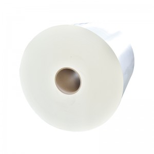 FBB C1S Papa Ivory Pepa Roll PE Coated Packing Material