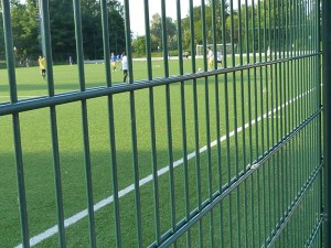 Bouble Wire Fence for Landscaping