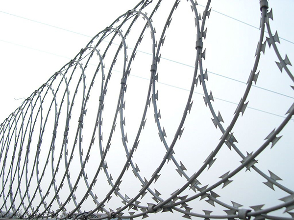 Razor Barbed Wire For Security Fence Featured Image
