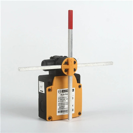 Industrial Cross Limit Switch XLS-P54D-PP Featured Image