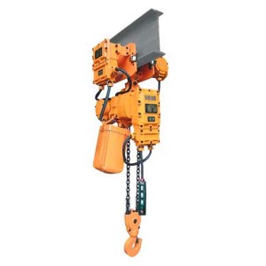 Hot sale Chain Block Manufacturer - explosion proof electric chain hoist – Lifthand
