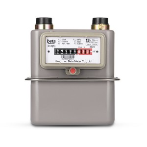 GS Compact Steel Case Gas Meter