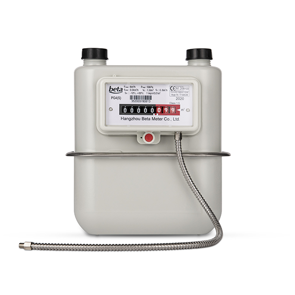 PG4(S)-MBUS Remote Gas Meter (1)