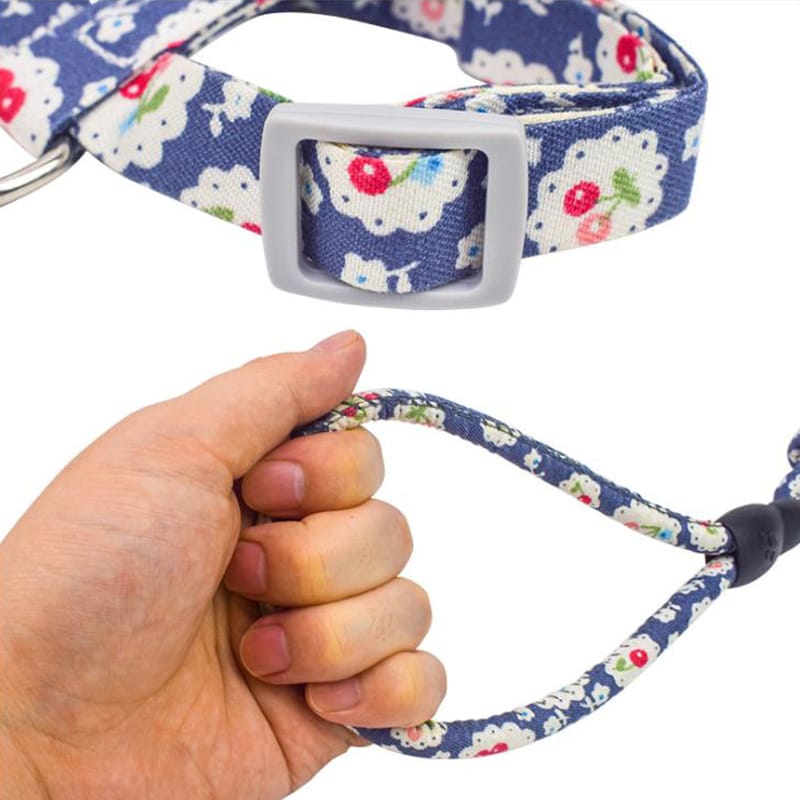 FP-Y2058 Printed Cat Outing Chest Strap