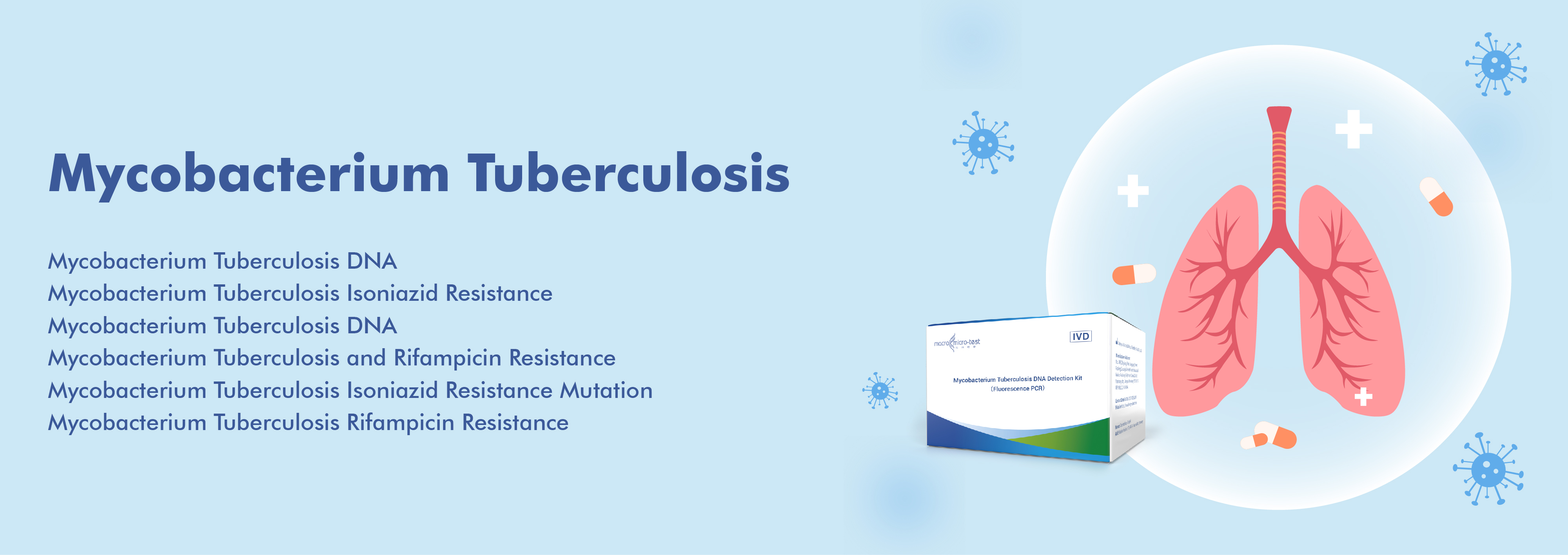 Mycobacterium Tuberkulosis
