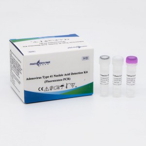 41 tipo adenoviruso nukleorūgščių aptikimo rinkinys (fluorescencinė PGR)