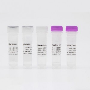 28 Aarte vun HPV Nukleinsäure Detektioun Kit (Fluoreszenz PCR)