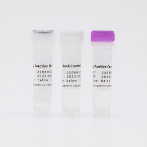 Kit de detecció d'àcids nucleics d'Helicobacter Pylori (PCR de fluorescència)