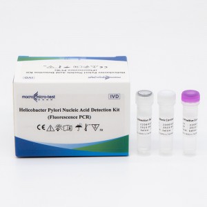 Kit de detección de ácidos nucleicos de Helicobacter Pylori (PCR por fluorescencia)
