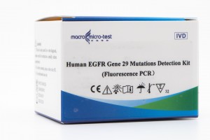 انسانی ای جی ایف آر جین 29 میوٹیشنز