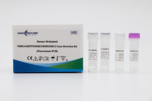 Xene NDRG4/SEPT9/SFRP2/BMP3/SDC2 metilado humano