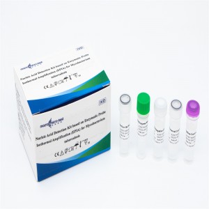 Kit de detecció d'ADN de Mycobacterium Tuberculosis (amplificació isotèrmica)