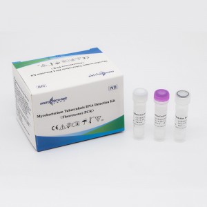 Kit de detección de ADN de Mycobacterium Tuberculosis (PCR de fluorescencia)