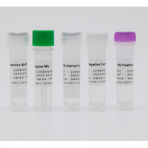 Kit de detecció d'àcids nucleics de Neisseria Gonorrhoeae (amplificació isotèrmica)