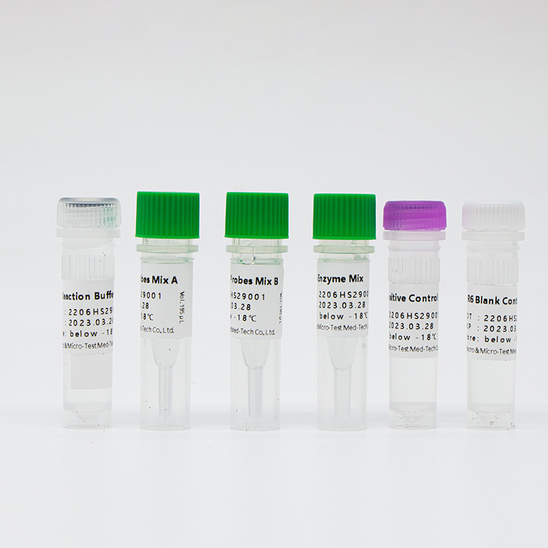 طقم RT-PCR للكشف عن ستة أنواع من مسببات الأمراض التنفسية 1
