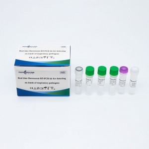 RT-PCR Kit fir sechs Aarte vu Atmungspathogenen z'entdecken (Fluoreszenz PCR)