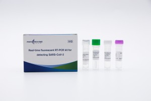 Real-time fluorescent RT-PCR ornamentum deprehendendi SARS-CoV-2