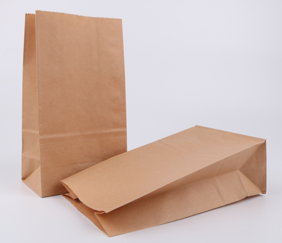 Large retailers are replacing plastic bags with eco-friendly paper bags • Earth.com