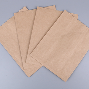 Kahverengi kağıt torba-Ağır Hizmet FB08010