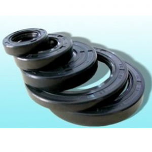 EuroIII valve oil seal