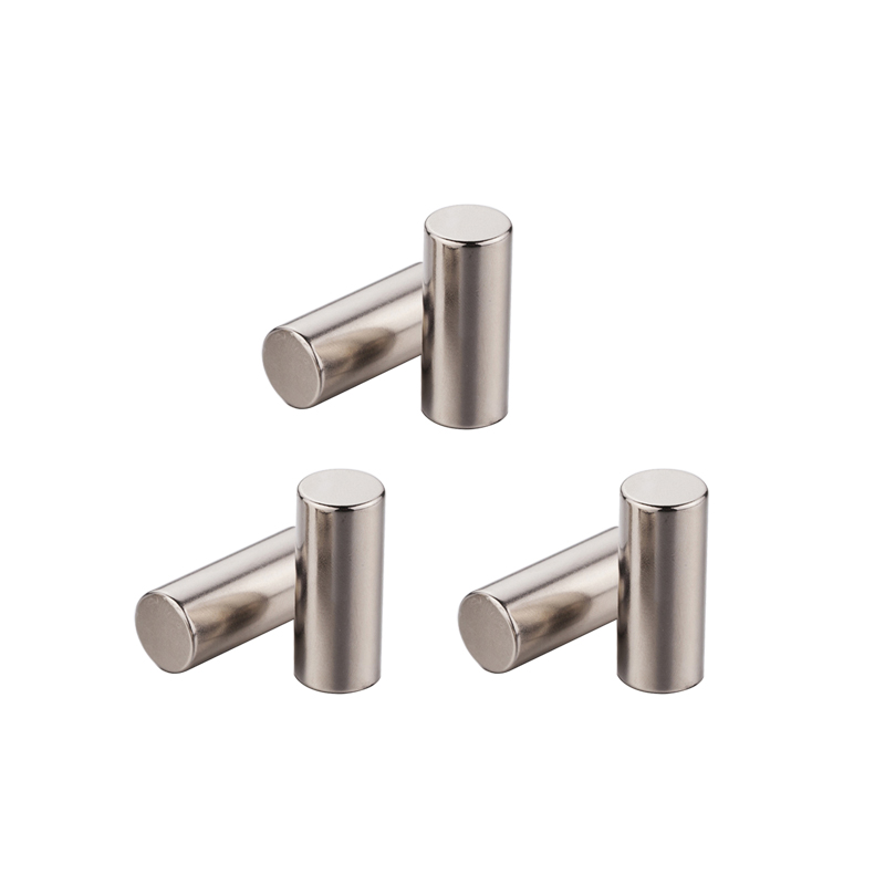 Industri Permanent Sinter Cylinder Magnet