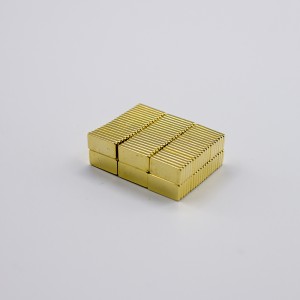 Flat Neo Block Magnet yokhala ndi AU Coating