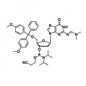 Oligonukleotid sintezi uchun normal va modifikatsiyalangan fosforamiditlar