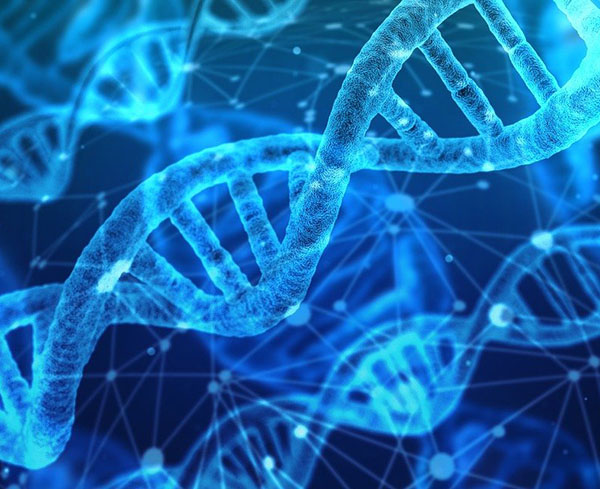 ຄວາມແຕກຕ່າງລະຫວ່າງການສັງເຄາະ DNA ແລະ RNA