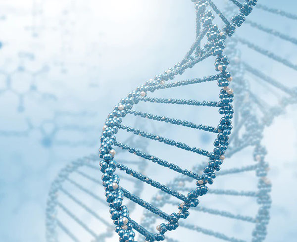 Faktory, ktoré určujú účinnosť syntézy DNA