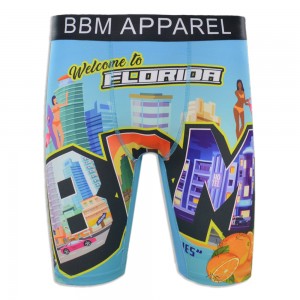 OEM New Type Men Underwear Fashion Wholesale Vendor Plus Size Florida Printing Men Boxers Briefs Underpants