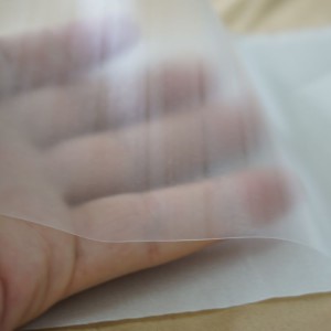 TPU hot melt adhesive film for seamless underwear and barbie pants