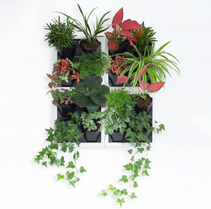 Mbjellëse vetë-ujëse me dizajn të ri për Artistin e shtëpisë së Green Wall 4 Pots Wall Mbjellës