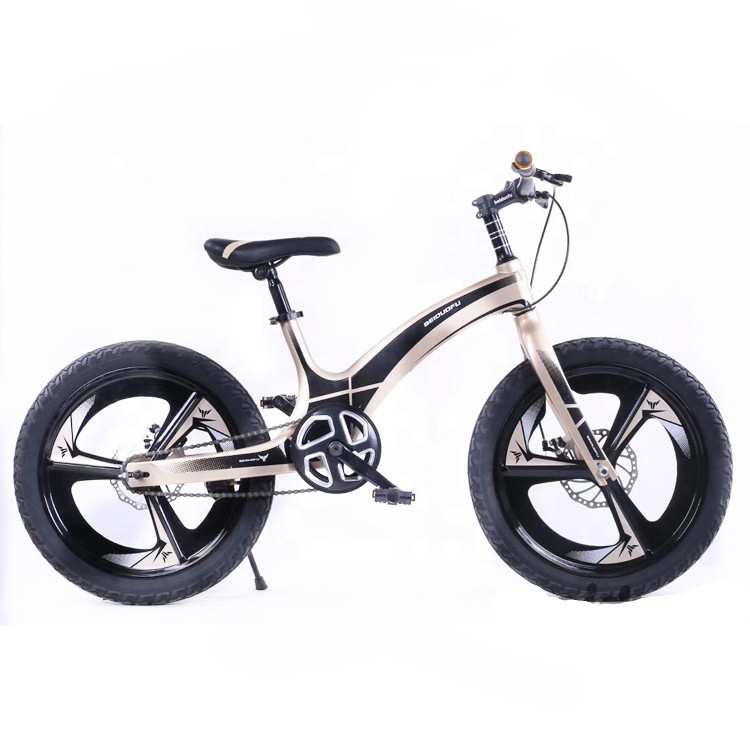 จักรยานเด็ก Custom ปรับความสูงได้ Universal Children Bicycle จักรยานสำหรับเด็กอายุ 3 ขวบ