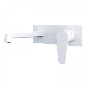 Hemoon Single lever ភ្ជាប់ជញ្ជាំង faucet លាក់