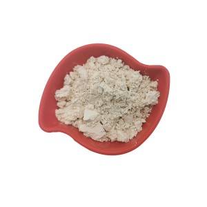 Diatomaceous earth Powder for Oil with good grade