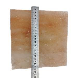 Wholesale Natural red salt blocks salt tiles Himalayan Salt Brick for Sale