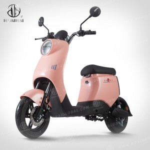 LYUE 800W 44km/h Electric Scooter Front Disc Brake Electric Motorcycle Scooter