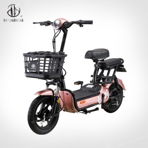 High Power Electric Scooter DF1 with Hub Motor for Pakeke