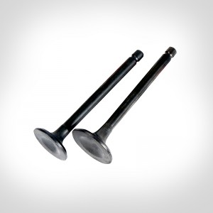 Intake & exhaust valve – Soupape complet