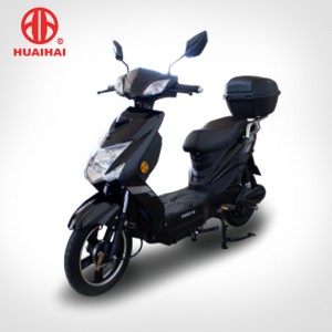 New Model Adults Electric Bike with 248w  Motor